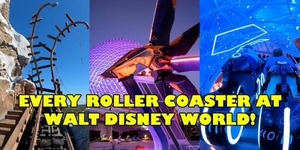 Who Wants to Ride Every Coaster at Walt Disney World?